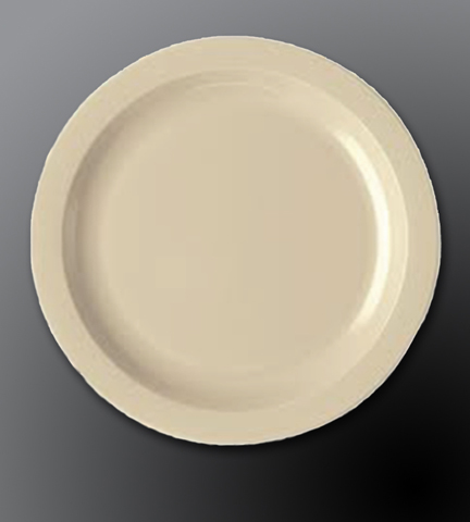 Narrow Rim Ceramic Dinnerware Dover White Plate 9.625" Dia.